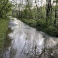 Sandy_Creek_09April